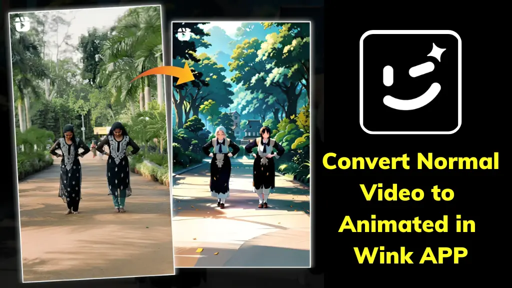 Convert normal video to animated video in Wink
